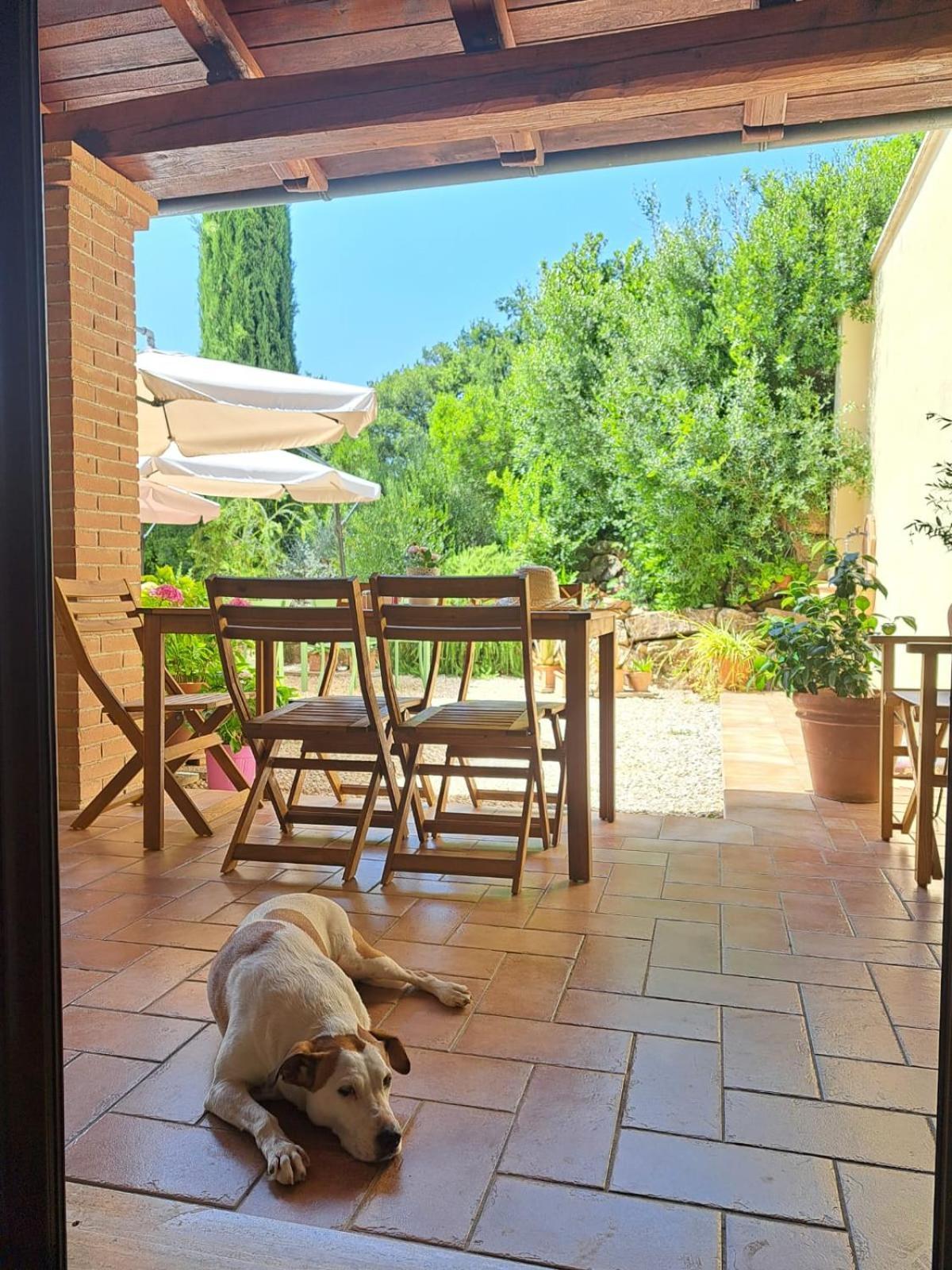 Casale Terre Rosse Bed & Breakfast Saturnia Exterior photo